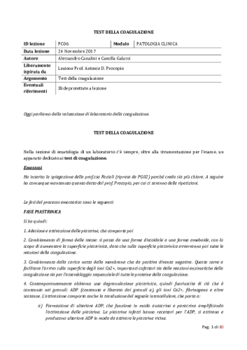 PC06